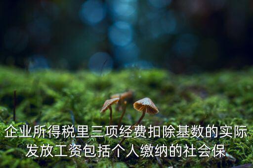 企業(yè)所得稅扣除基數(shù)指什么，企業(yè)所得稅里三項(xiàng)經(jīng)費(fèi)扣除基數(shù)的實(shí)際發(fā)放工資包括個(gè)人繳納的社會(huì)保