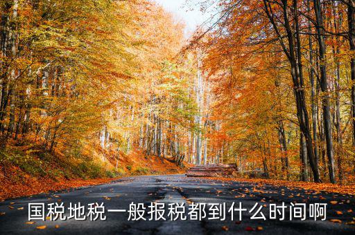 國(guó)稅上報(bào)省局什么時(shí)候，國(guó)稅地稅網(wǎng)上報(bào)稅時(shí)間