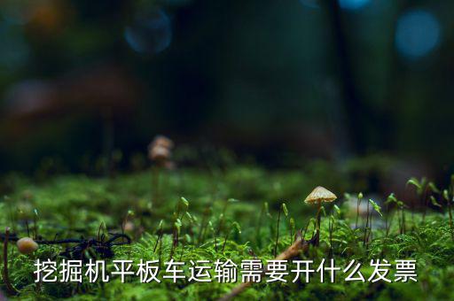 挖掘機(jī)平板車運(yùn)輸需要開(kāi)什么發(fā)票