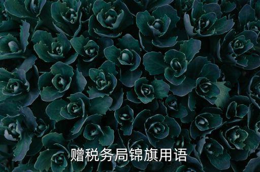 贈(zèng)送稅務(wù)所錦旗寫什么，贈(zèng)稅務(wù)局錦旗用語