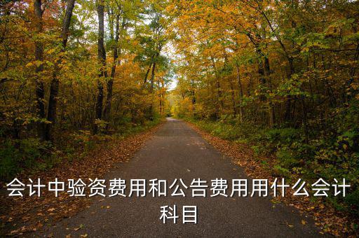 會計(jì)中驗(yàn)資費(fèi)用和公告費(fèi)用用什么會計(jì)科目