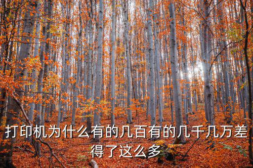 發(fā)票打印機為什么這么貴，為什么針式打印機還是那么貴
