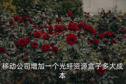 移動公司增加一個光纖資源盒子多大成本