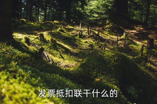發(fā)票抵扣聯(lián)干什么的