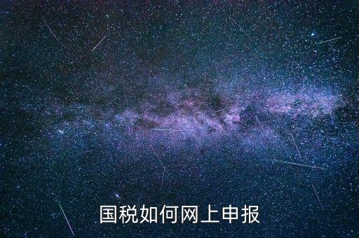 企業(yè)國稅申報(bào)上什么網(wǎng)，企業(yè)稅務(wù)申報(bào)去哪個(gè)網(wǎng)站