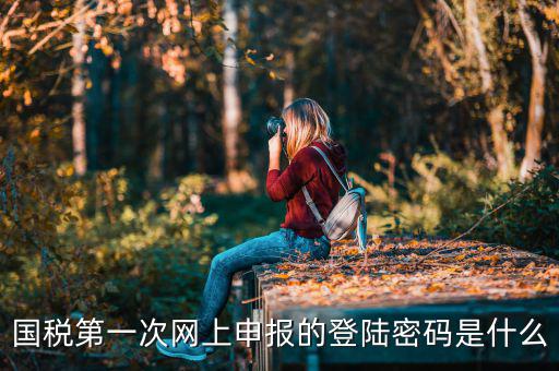 深圳網(wǎng)廳國(guó)稅登錄秘碼是什么意思，稅務(wù)局網(wǎng)站的登入賬戶初始密碼是什么