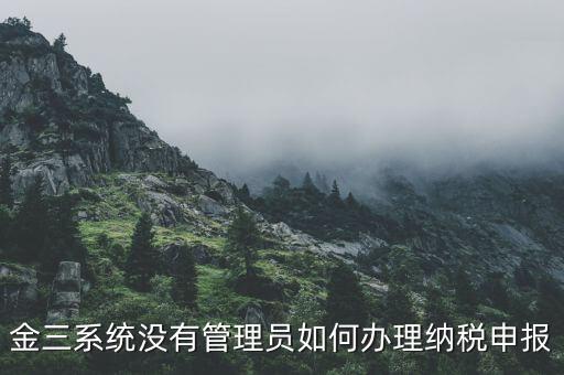 金三申報申報什么意思，申報是什么意思