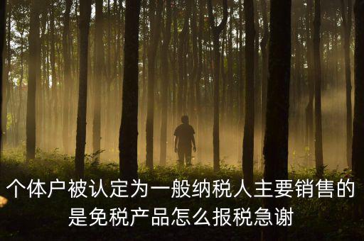 個體戶被認(rèn)定為一般納稅人主要銷售的是免稅產(chǎn)品怎么報(bào)稅急謝