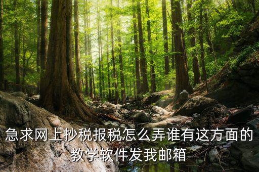 急求網(wǎng)上抄稅報稅怎么弄誰有這方面的教學(xué)軟件發(fā)我郵箱