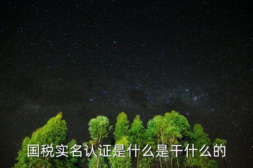 國稅實名制認證要什么手續(xù)，國稅實名認證是什么是干什么的