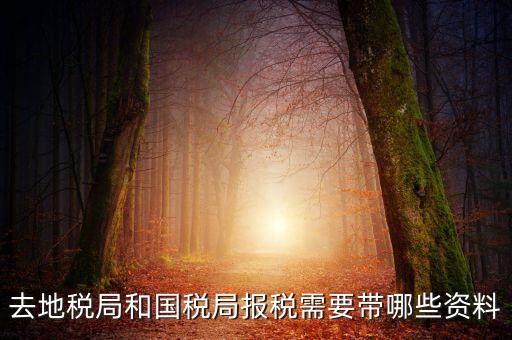 去地稅局和國稅局報稅需要帶哪些資料