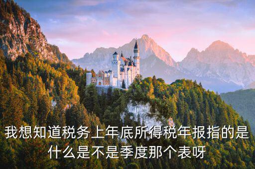 我想知道稅務上年底所得稅年報指的是什么是不是季度那個表呀