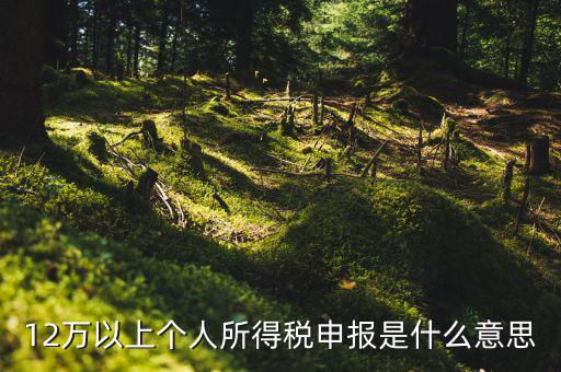 個稅12萬申報是什么意思，12萬以上個人所得稅申報是什么意思