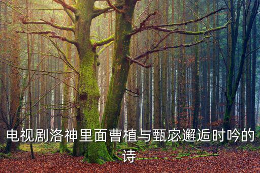 電視劇洛神里面曹植與甄宓邂逅時吟的詩