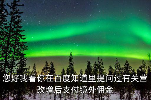 您好我看你在百度知道里提問過有關營改增后支付鏡外傭金