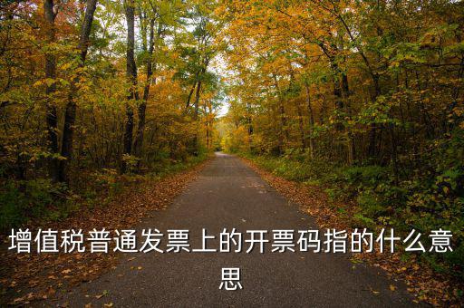 什么是發(fā)票信息碼，增值稅普通發(fā)票上的開(kāi)票碼指的什么意思