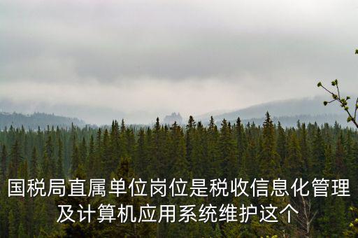 什么是國稅信息化，信息化在稅務管理中有什么作用
