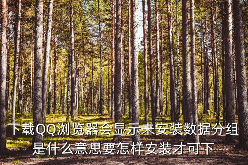 下載QQ瀏覽器會(huì)顯示未安裝數(shù)據(jù)分組是什么意思要怎樣安裝才可下