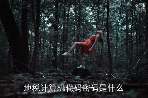 地稅稅務登陸密碼是什么意思，湖北地稅網(wǎng)絡發(fā)票登陸密碼是什么急急急