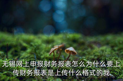 為什么要上傳報(bào)表，無錫網(wǎng)上申報(bào)財(cái)務(wù)報(bào)表怎么為什么要上傳財(cái)務(wù)報(bào)表是上傳什么格式