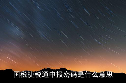 國稅申報(bào)登陸密碼是什么意思，國稅第一次網(wǎng)上申報(bào)的登陸密碼是什么