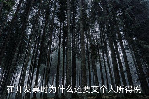 在開(kāi)發(fā)票時(shí)為什么還要交個(gè)人所得稅