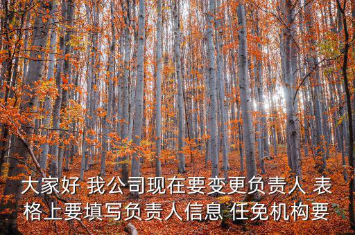 大家好 我公司現(xiàn)在要變更負責人 表格上要填寫負責人信息 任免機構(gòu)要