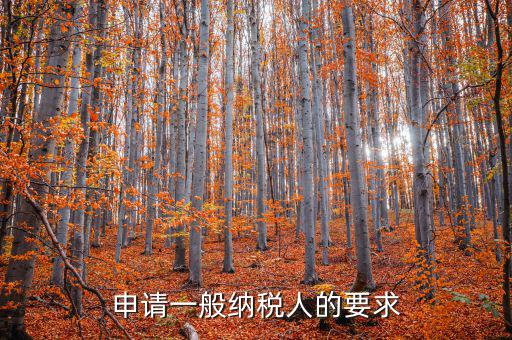 納稅人需求什么，申請一般納稅人的要求