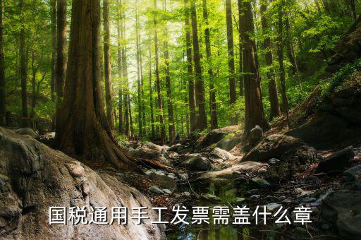 手工發(fā)票需注意什么，關(guān)于手工發(fā)票填開的問題