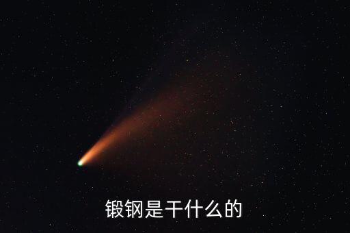 弘遠(yuǎn)泰斯是干什么的，飛踏是干什么的