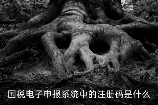 納稅申報碼是什么碼，什么是納稅申報號