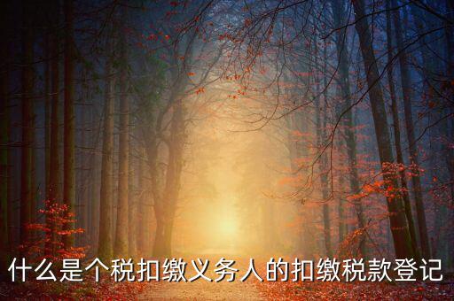 什么是個(gè)稅扣繳義務(wù)人的扣繳稅款登記