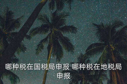國稅局可以申報什么稅，在國稅申報的稅種有哪些稅率是多少
