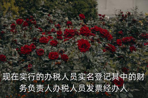 現(xiàn)在實行的辦稅人員實名登記其中的財務負責人辦稅人員發(fā)票經(jīng)辦人