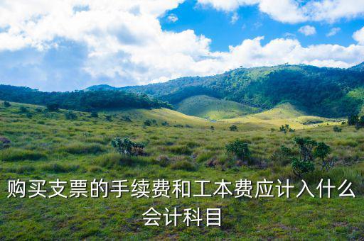 購(gòu)買(mǎi)支票的手續(xù)費(fèi)和工本費(fèi)應(yīng)計(jì)入什么會(huì)計(jì)科目