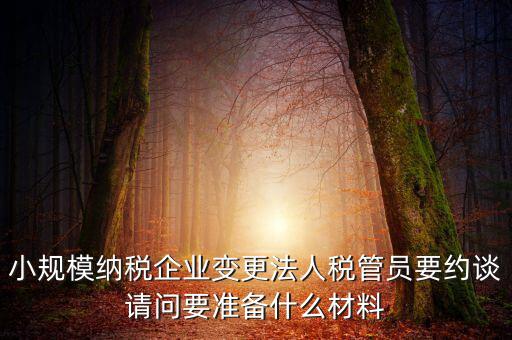 小規(guī)模納稅企業(yè)變更法人稅管員要約談?wù)垎?wèn)要準(zhǔn)備什么材料
