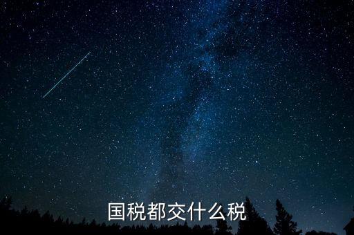 國(guó)稅五項(xiàng)稅種都是什么，國(guó)稅包括哪些稅種