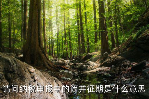 簡并征期是什么意思，期是什么意思