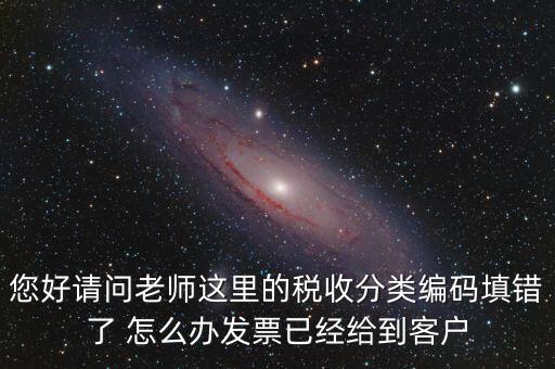 稅收分類編碼錯(cuò)誤的是什么，汽車導(dǎo)航儀稅收分類編碼是什么