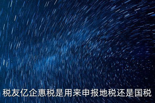稅友報稅的是什么，稅友億企惠稅是用來申報地稅還是國稅