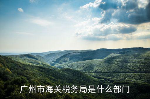 稅務(wù)總局國(guó)際司干什么，國(guó)家稅務(wù)總局是正部級(jí)