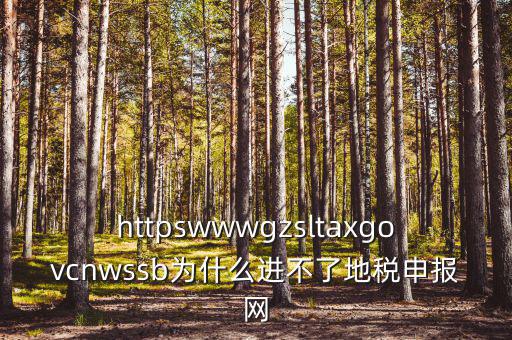 為什么上不去河北地稅網(wǎng)，地稅的網(wǎng)站現(xiàn)在進(jìn)不去不知是什么原因