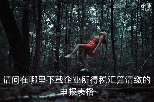 請(qǐng)問(wèn)在哪里下載企業(yè)所得稅匯算清繳的申報(bào)表格