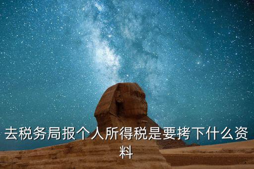 去稅務(wù)局報個人所得稅是要拷下什么資料