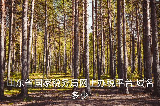 山東省國家稅務(wù)局網(wǎng)上辦稅平臺 域名多少