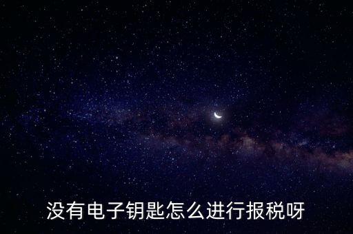 沒有電子鑰匙怎么進行報稅呀