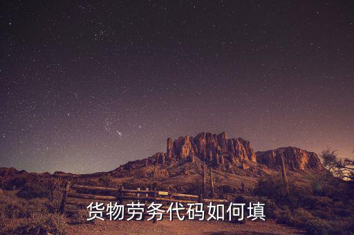 貨物勞務代碼是什么，貨物勞務代碼如何填
