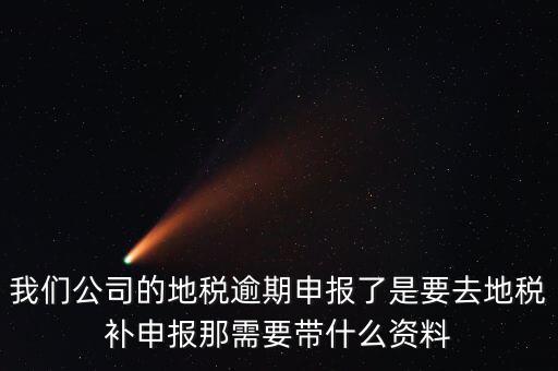 逾期申報(bào)需要帶什么資料，我們公司的地稅逾期申報(bào)了是要去地稅補(bǔ)申報(bào)那需要帶什么資料