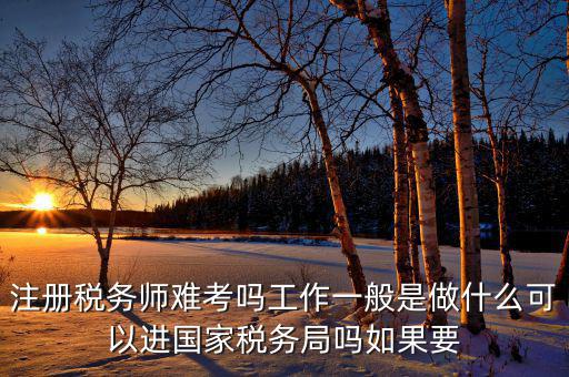 稅務(wù)師是什么，注冊(cè)稅務(wù)師能干什么待遇怎么樣