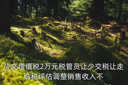 應(yīng)交增值稅2萬(wàn)元稅管員讓少交稅讓走納稅評(píng)估調(diào)整銷售收入不